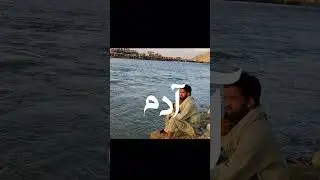 Ali Revshan