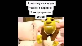шрек обосрался на диван , боже какой ужас
