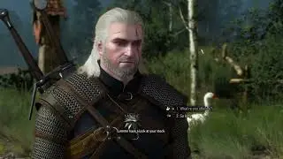 The Witcher 3 - RT Ultra FSR3 FG Mod - R5 5600 + RX 6700 XT 1080p