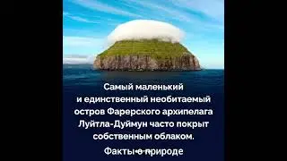 Необычные факты о природе