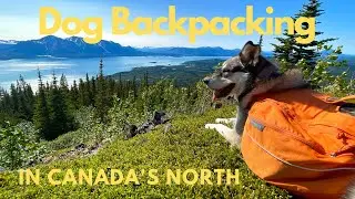 Dog Backpacking: Quality Dog Time