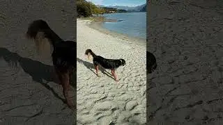 Lake Wanaka