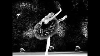 Miko Fogarty, 15 years 1month, Varna IBC 2012 Medalist Gala - Odile Variation from Swan Lake -