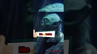Kulgu time