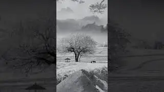 Snowfall❤