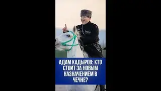 В 17 лет – в дамки? Сын Кадырова ошеломительно возглавил Совбез Чечни