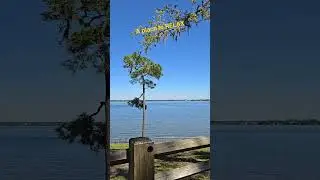 perfect place to relax