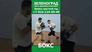 Зеленоград новости спорта весной. Школа бокса весной. Запись круглый год.