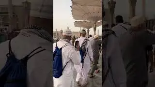 Ассаламу алейкум ё Расуллулох