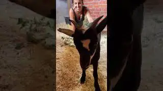 ¡Os presentamos a Barti! 😍