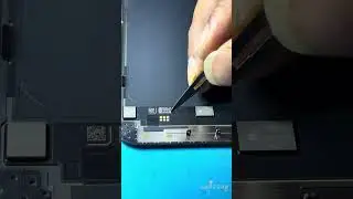 iPhone 13 Pro Max White Display After IOS 17 Update | Check This Video Before Update Your iPhone