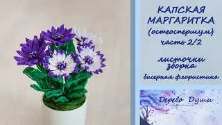 КАПСКАЯ МАРГАРИТКА или ОСТЕОСПЕРМУМ из бисера/ Часть 2 (листья , сборка)/ Бисерная флористика МК