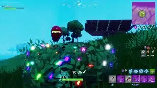 Xodious88 FortNite 1st Victory Part2