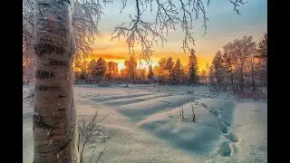 Опять зима и листья в перламутре