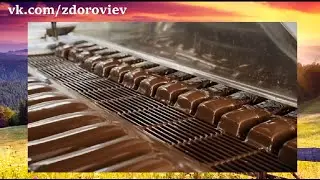Производство Siberian Wellness – чистота, точность, качество, открытость!