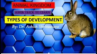 TYPES OF DEVELOPMENT
