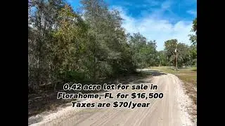 0.42 acres for sale in Florida for $16,500. Dm for more. #realestate #foryou #fyp #florida #shorts