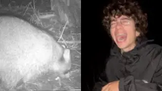 I never imagined I would record this animal...