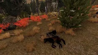 The Violence Of Pack Rivalries | Playing The Saga! | Part 2 | WolfQuest Anniversary Edition