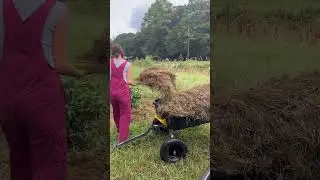 Free mulch for the #garden #gardening #growyourownfood #homesteading #backyardgardening #mulching