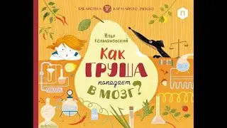 Как груша попадает в мозг