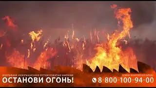 Останови огонь: Причины природных пожаров