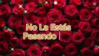 Consejos