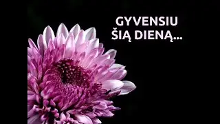 Gyvensiu šią dieną...