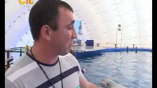 СТС-Курск. Дельфинарий. 13 мая 2013