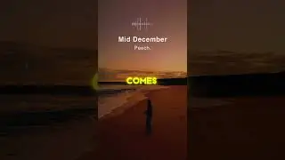 chill songs your playlist needs 🌊🎶