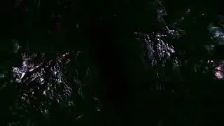 Champagne Drip - Memento Mori [OFFICIAL VISUALIZER]