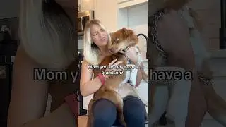 #dogshorts #doglover
