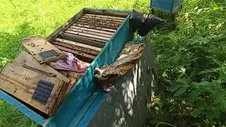 А у вас такое было?