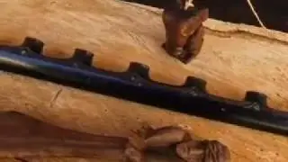 Sculpter le bois (extrait)