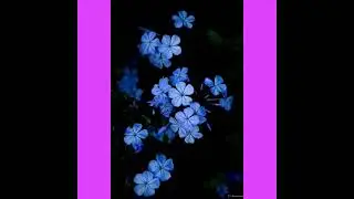 Ретро клип Тёмского "Purple World." 💜