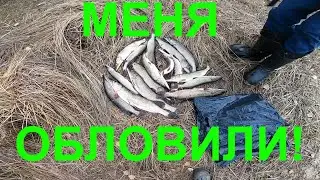 ЩУКА В ОКТЯБРЕ РЫБАЛКА НА ЩУКУ, ЛОВЛЯ ЩУКИ НА СПИННИНГ РЫБАЛКА 2021