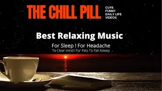 Relaxing music for sleep ! Headache ! For Stress Relief ! For Pets To Fall Asleep ! To Clear Mind