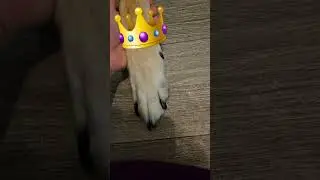 my king
