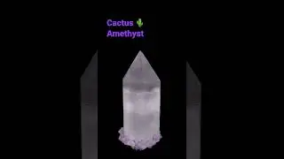 Procedural cactus amethyst made in 