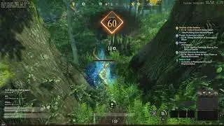 New World - lvl 60 with a crane