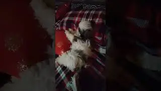 My Cute baby