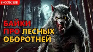 БАЙКИ ПРО ЛЕСНЫХ ОБОРОТНЕЙ - Когда Восходит Полна Луна