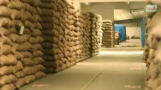 Eagle Seeds | Facts About Wheat Seed & Crop Processing | Informative | #Client