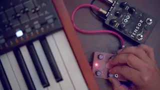 Synth Loop Modulation with DeepMind 12, Old Blood Noise Endeavors Sunlight, Red Panda Tensor.