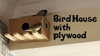 Bird House with plywood