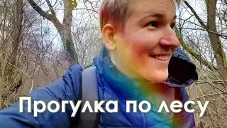 Поход в  лес к источнику воды 🏞️