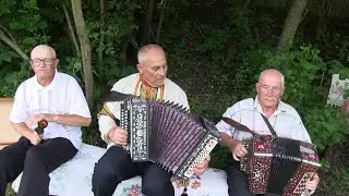 Частушки под русского наяривают гармонисты клуба Возрождение из Данкова
