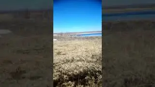Ехали на рыбалку рыбы не поймали зато на уток посмотрели.😁