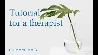 Building a SuperSaaS schedule for a therapist