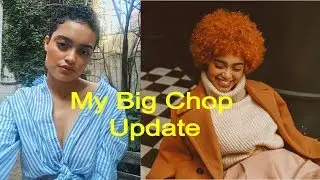 ONE YEAR HAIR GROWTH UPDATE/Q + A I CURLY HAIR ROUTINE 3C 4A HAIR
